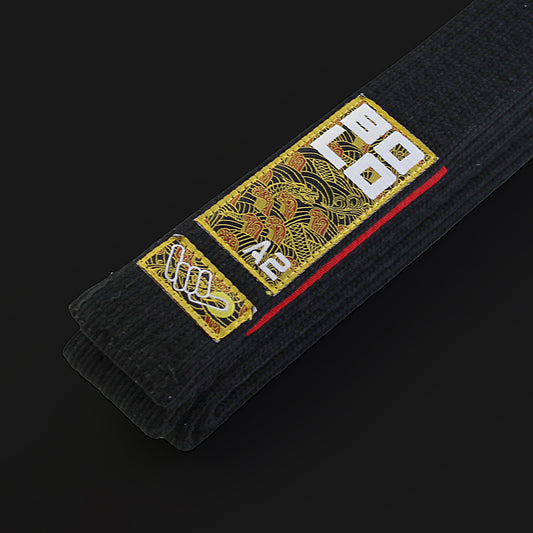 Champions Pro Black Belt